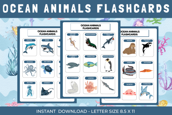 Ocean Animals Visual Learning Flashcards