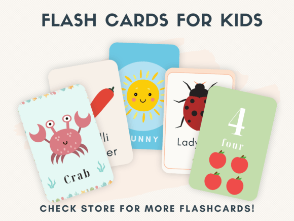 Safari Animals Flashcards for Kids 16-Card Educational Set