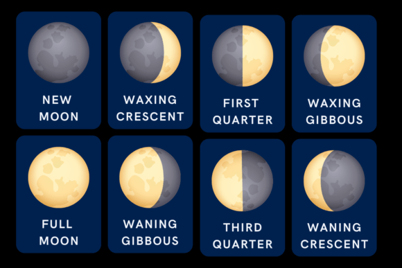 Moon Phases Learning Bundle for Kids