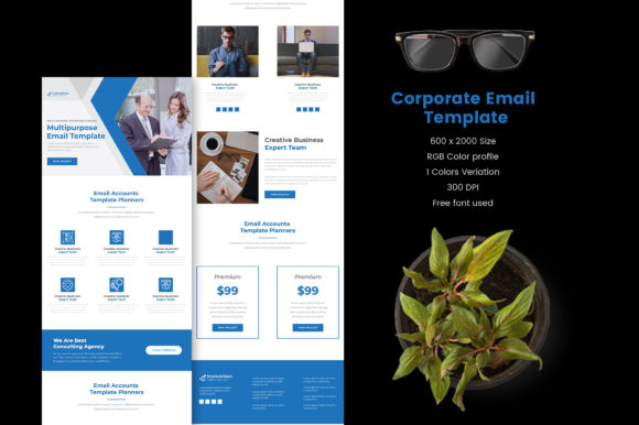 Versatile Business Promotion Email Templates for Any Industry