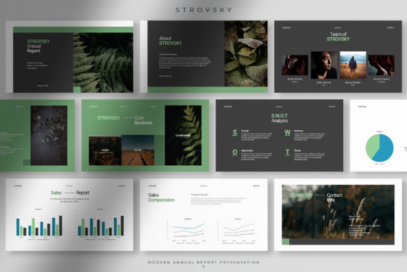 Strovsky Modern Annual Report Presentation Template