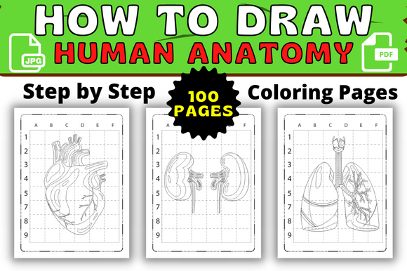 Human Anatomy Drawing & Coloring Guide