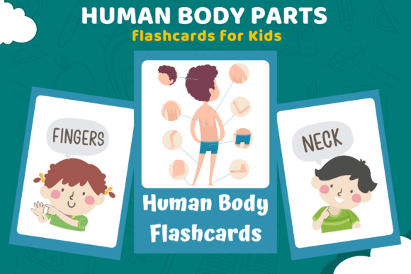 Printable Montessori Body Flashcards