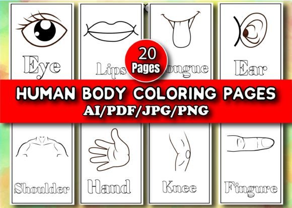 Digital Human Body Coloring Book