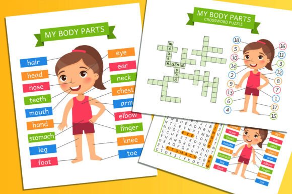 Fun Learning with Body Parts Worksheets