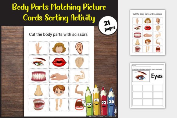 Advanced Body Parts Sorting Activity