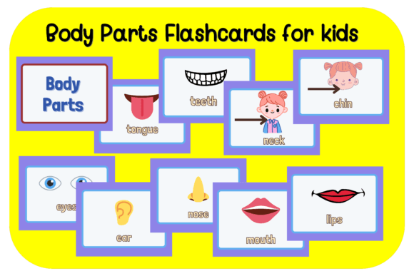 Fun Body Parts Learning Flashcards