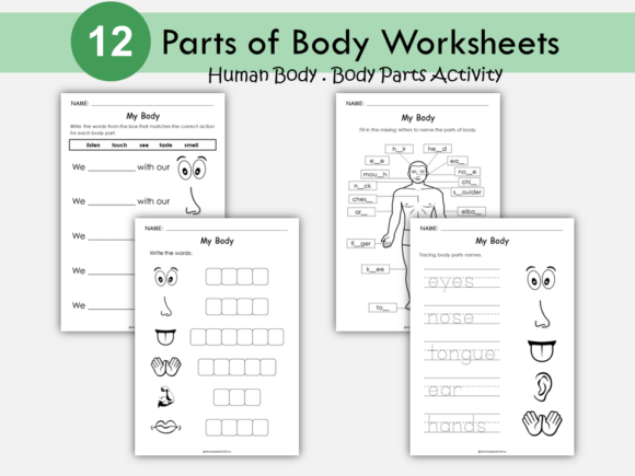 Printable Body Parts Education Pack