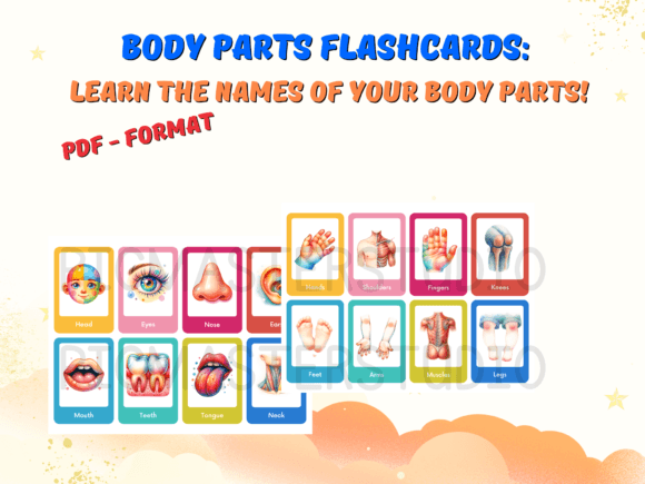 Colorful Kids Body Parts Flashcards