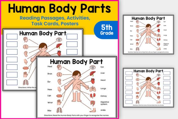 Engaging Human Body Learning Kit