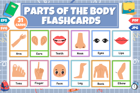 Engaging Body Flashcards for Kids