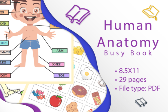 Interactive Anatomy Experience