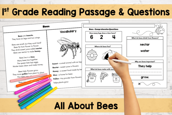 Engaging Bee Reading Comprehension