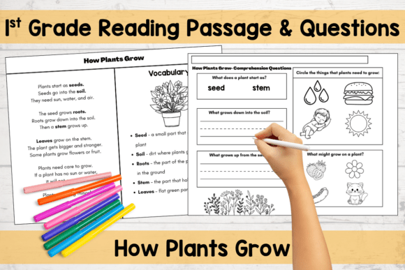 Engaging First Grade Reading Passage