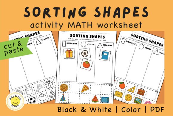 Real Life Shape Sorting Activity