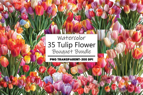 Tulip Watercolor Flower Bouquet Designs