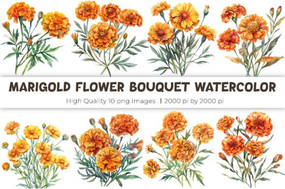 High-Quality Marigold Watercolor PNG Set