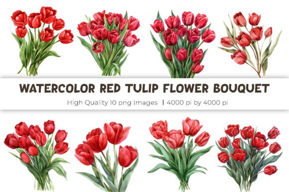 Watercolor Tulip Art PNG Collection