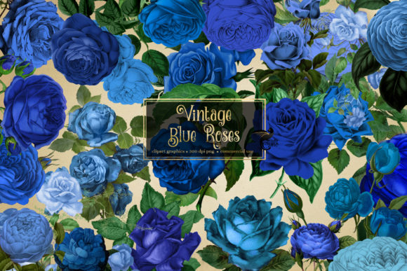 Elegant Blue Rose Clipart Collection