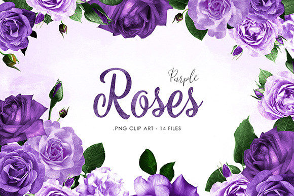 Purple Roses Digital Clipart Set