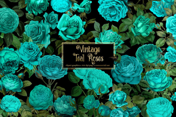 Teal Rose Vintage Clipart Collection