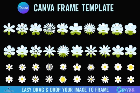 Daisy Floral Canvas Frame