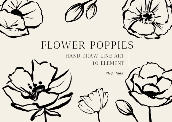 Botanical Minimalist Flower Line Art