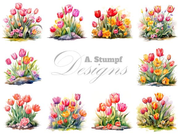 Tulip Watercolor Clipart Collection