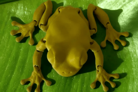 3D Printable Articulated Tree Frog