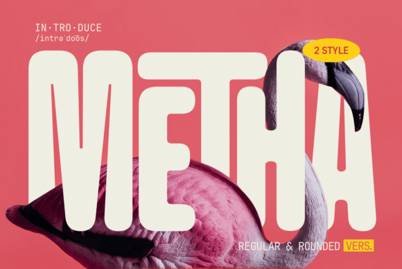 Metha Modern Rounded Sans Typeface