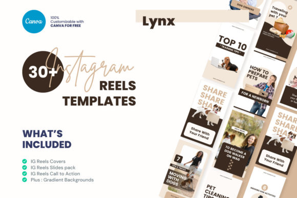 Canva Pet Instagram Reels Template