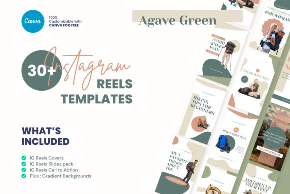 Agave Green Instagram Reels Template
