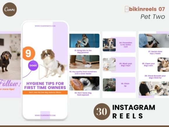 Pet Instagram Reels Template Collection