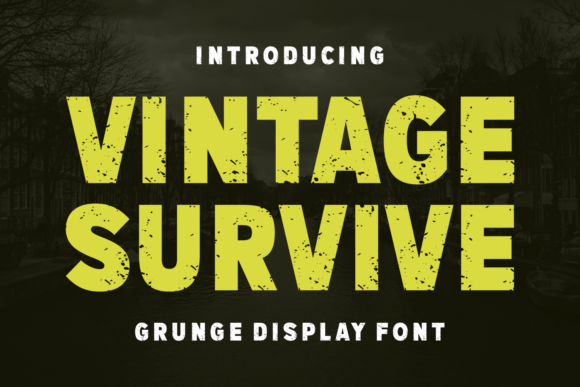 Vintage Survive Grunge Display Font