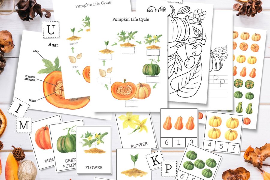 Fall Pumpkin Unit Study Worksheet Pack