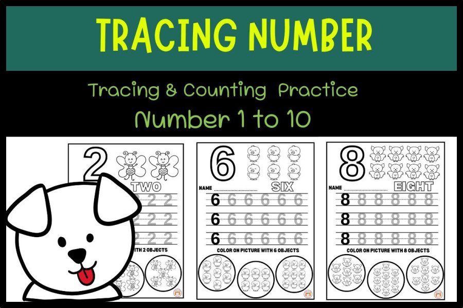 Trace and Find Numbers 1 to 10 Workbook