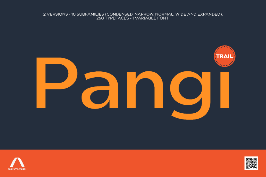 Pangi Geometric Sans Font Family