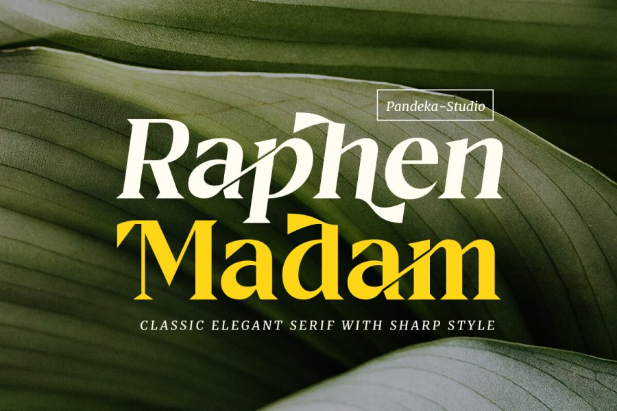 Raphen Madam Elegant Display Font
