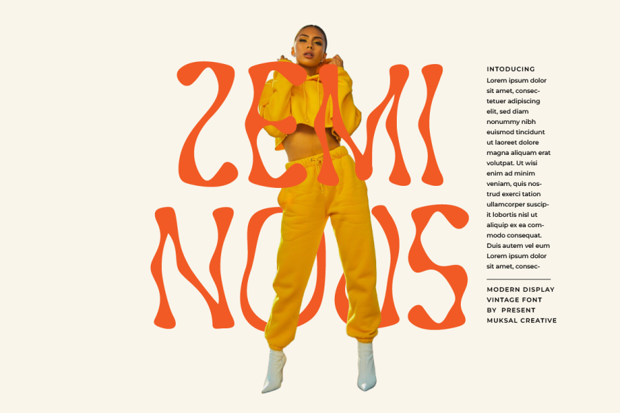 Zeminous Retro Display Font