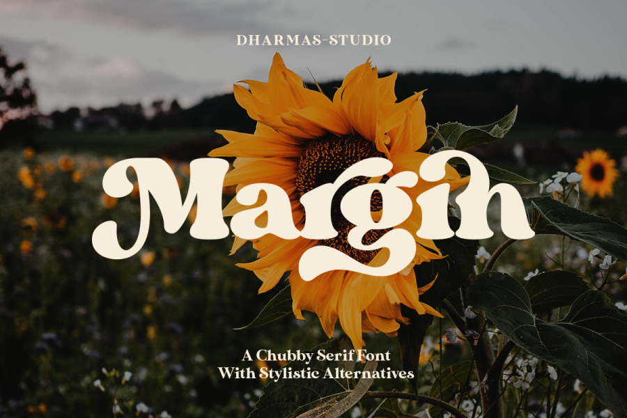 Margin Serif Font