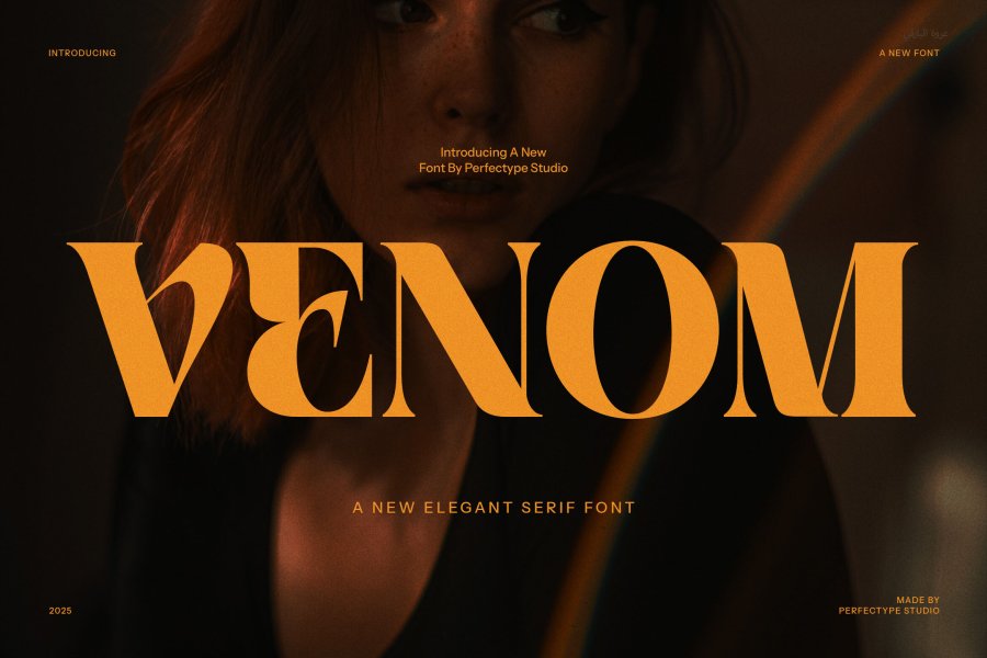 Venom Elegant Serif Font