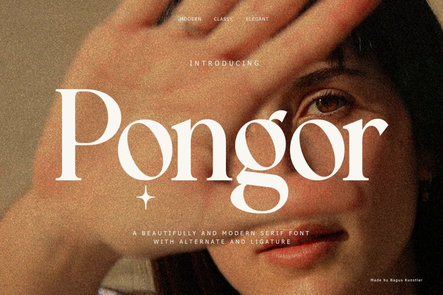 Pongor Serif Retro Font