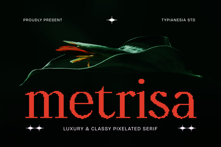 Metrisa Luxury Pixel Serif Font