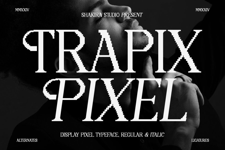 Trapix Pixel Serif Typeface