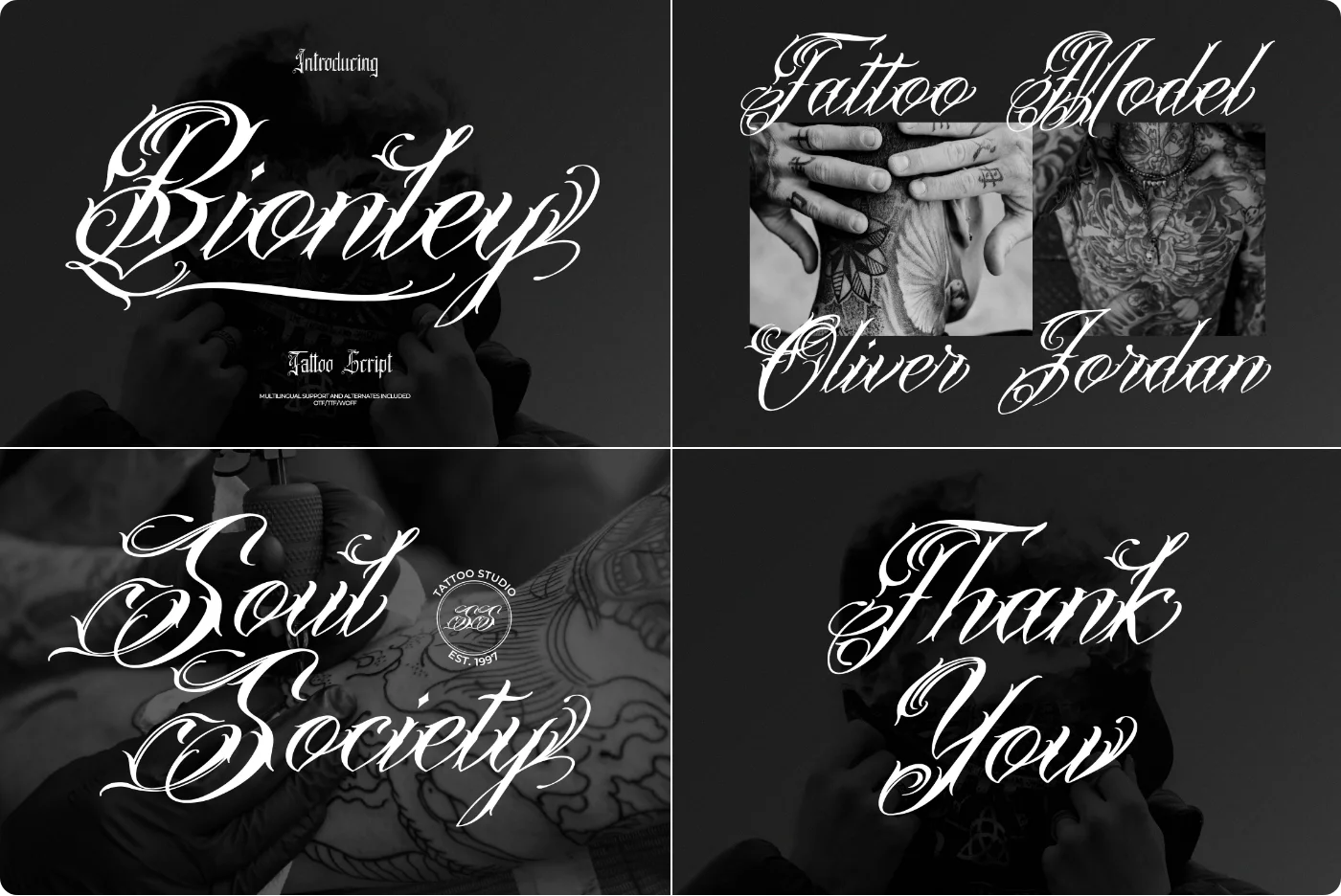 Bionley Calligraphic Script Font