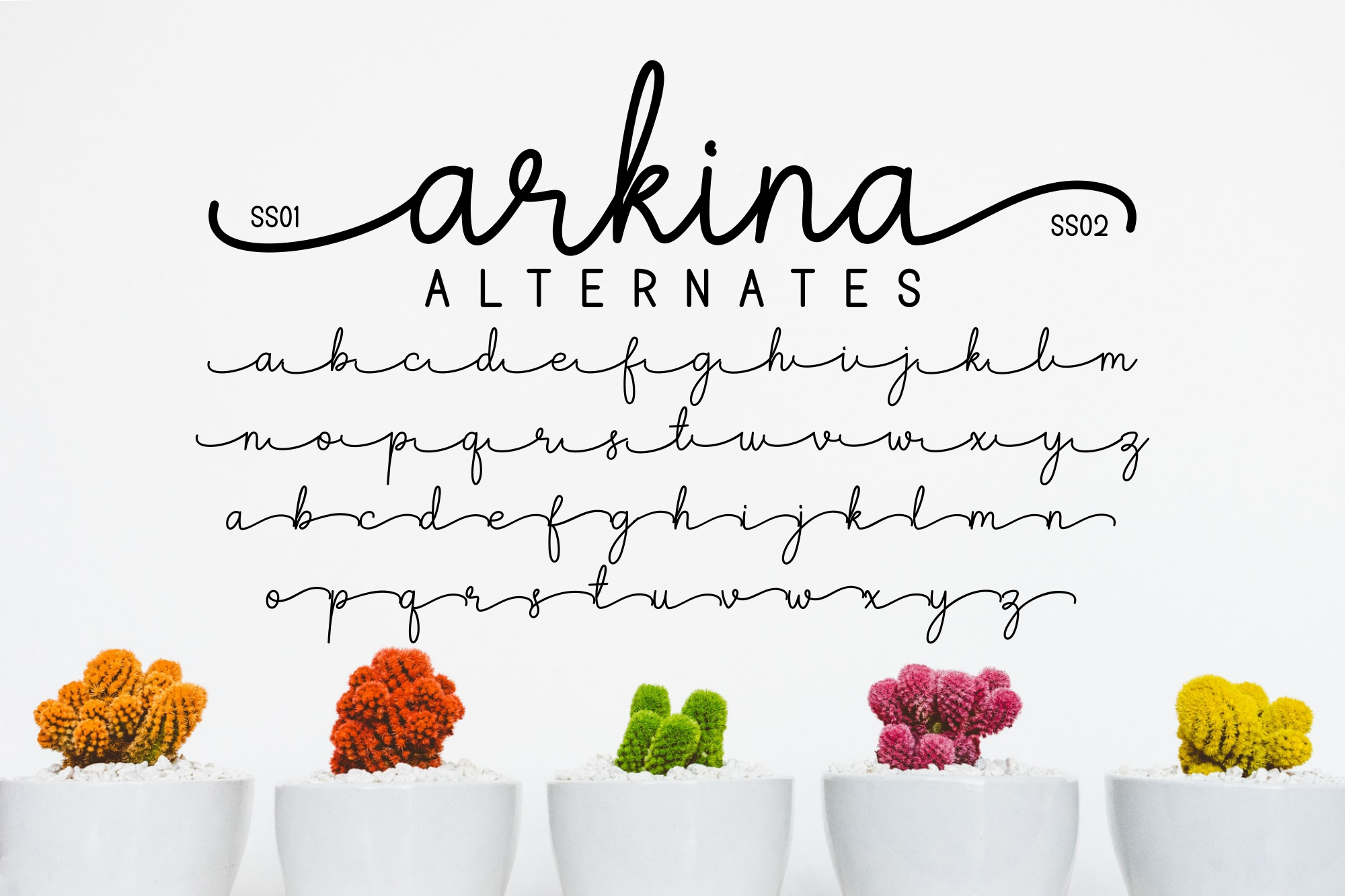 Arkina Duo Font preview 8