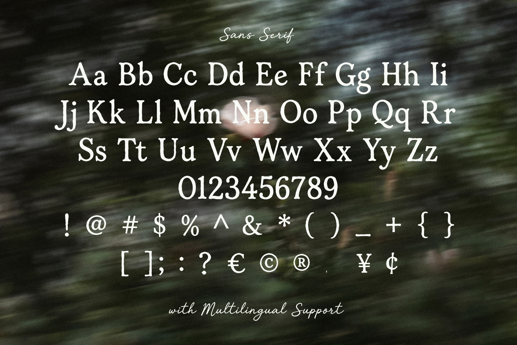 Tjiwidej Heritage Font preview 9