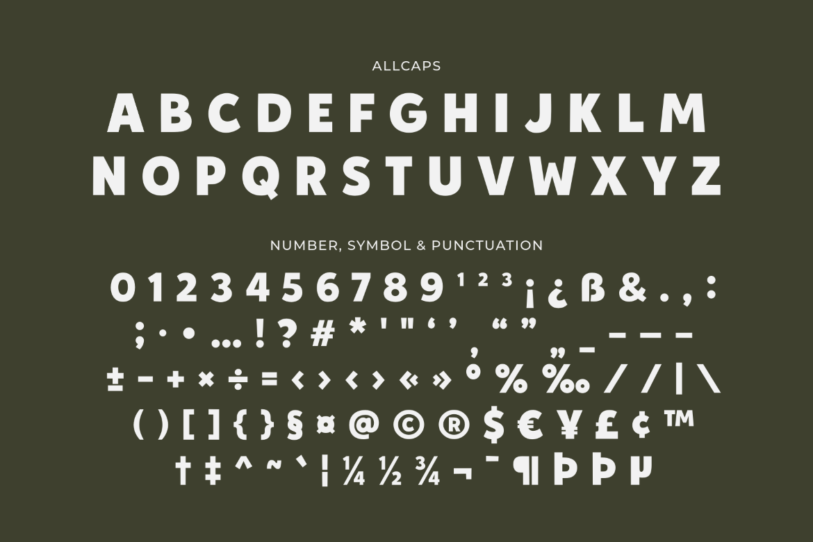 Antique Atelier Duo Font preview 13