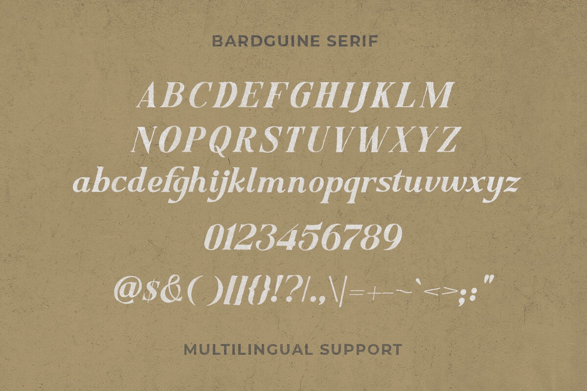 Bardguine Serif & Script Duo Font Font preview 6