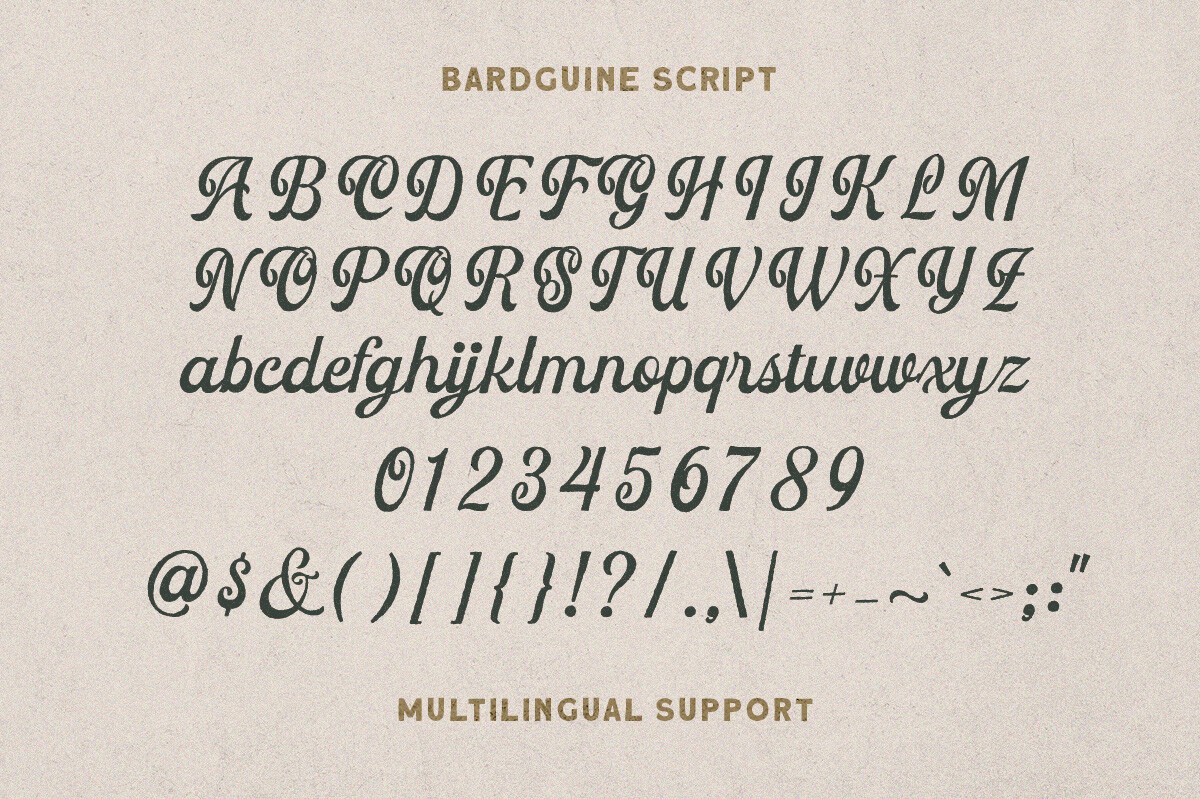 Bardguine Serif & Script Duo Font Font preview 5